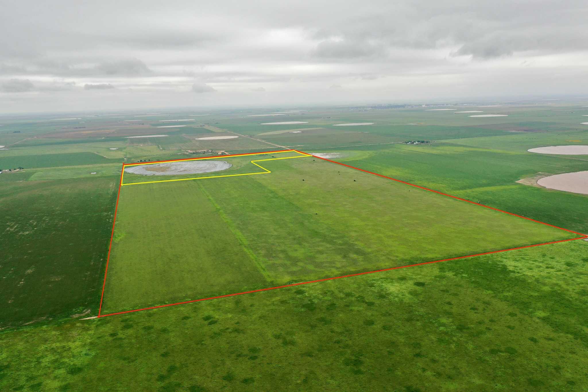 2015 County Road 9 Tulia, TX 79088 - Photo 25 of 33 a view of a big yard with an empty space and trampoline