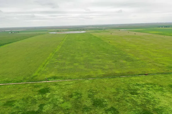 a view of a big yard with potted plants