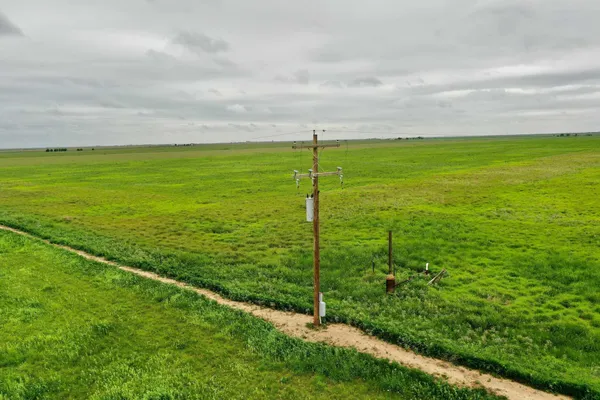 a view of a garden with a tree in the background