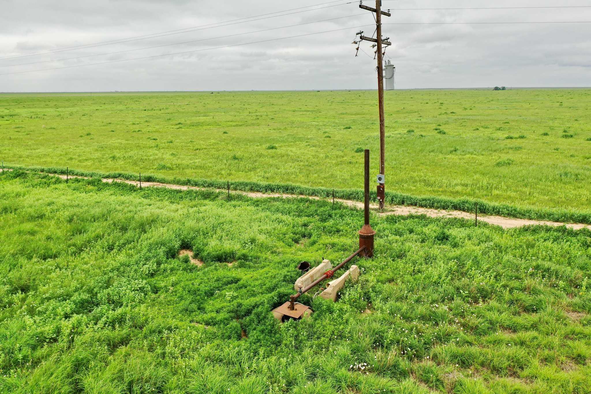 2015 County Road 9 Tulia, TX 79088 - Photo 29 of 33 a view of a garden with a tree in the background
