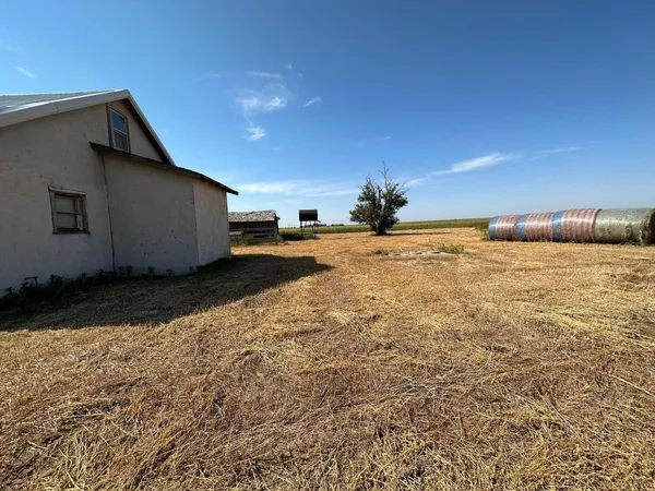 a view of a yard with a tree