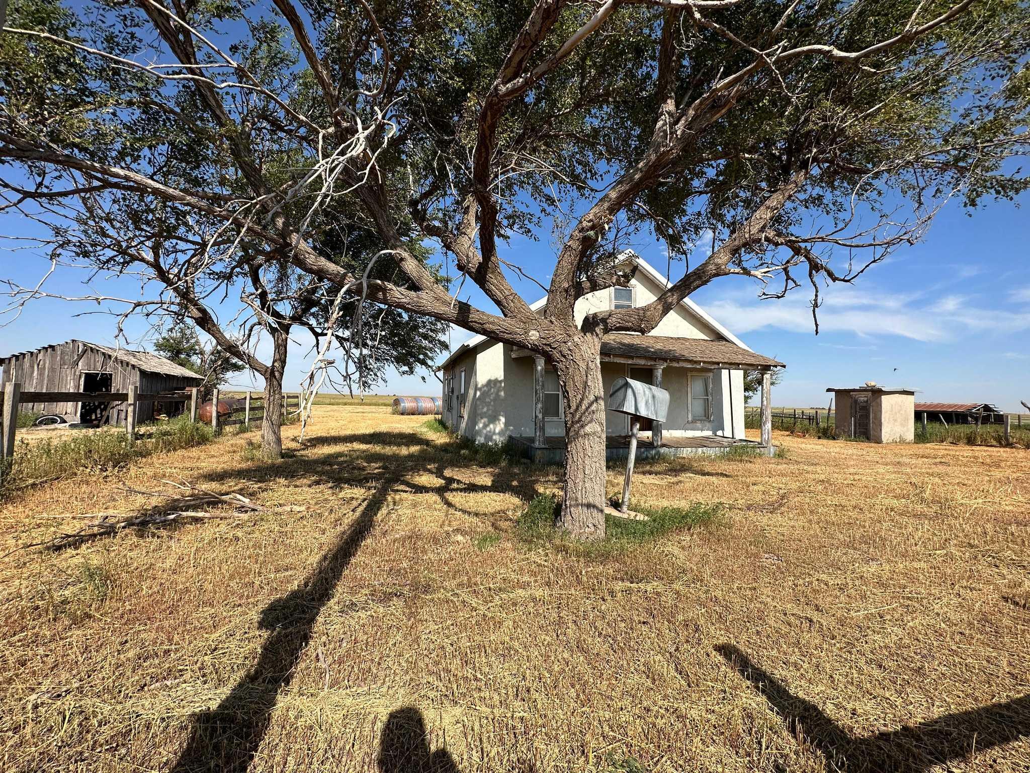 2015 County Road 9 Tulia, TX 79088 - Photo 33 of 33 a view of a yard with a tree