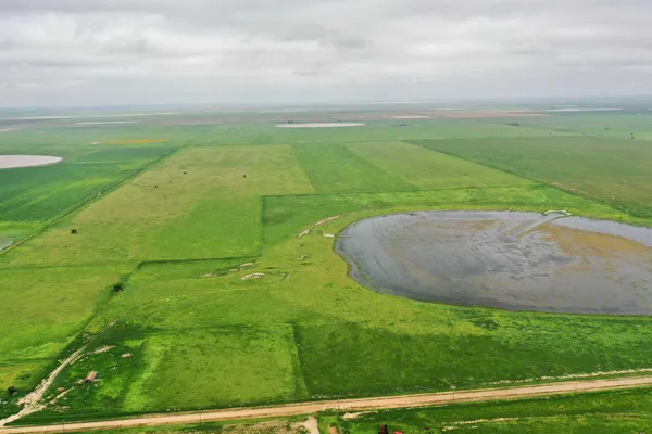 a view of outdoor space with a garden and trees