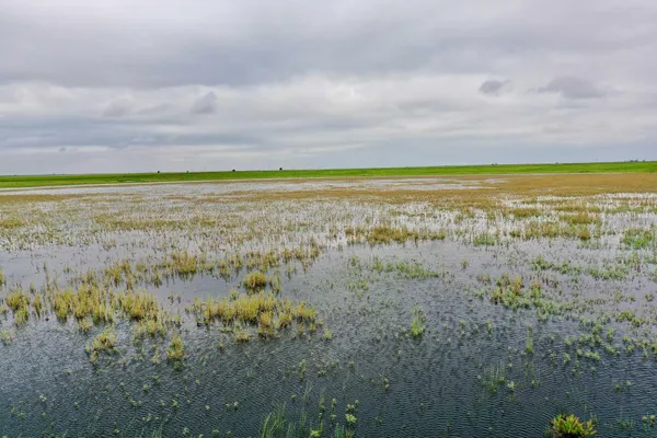 a view of an ocean and beach