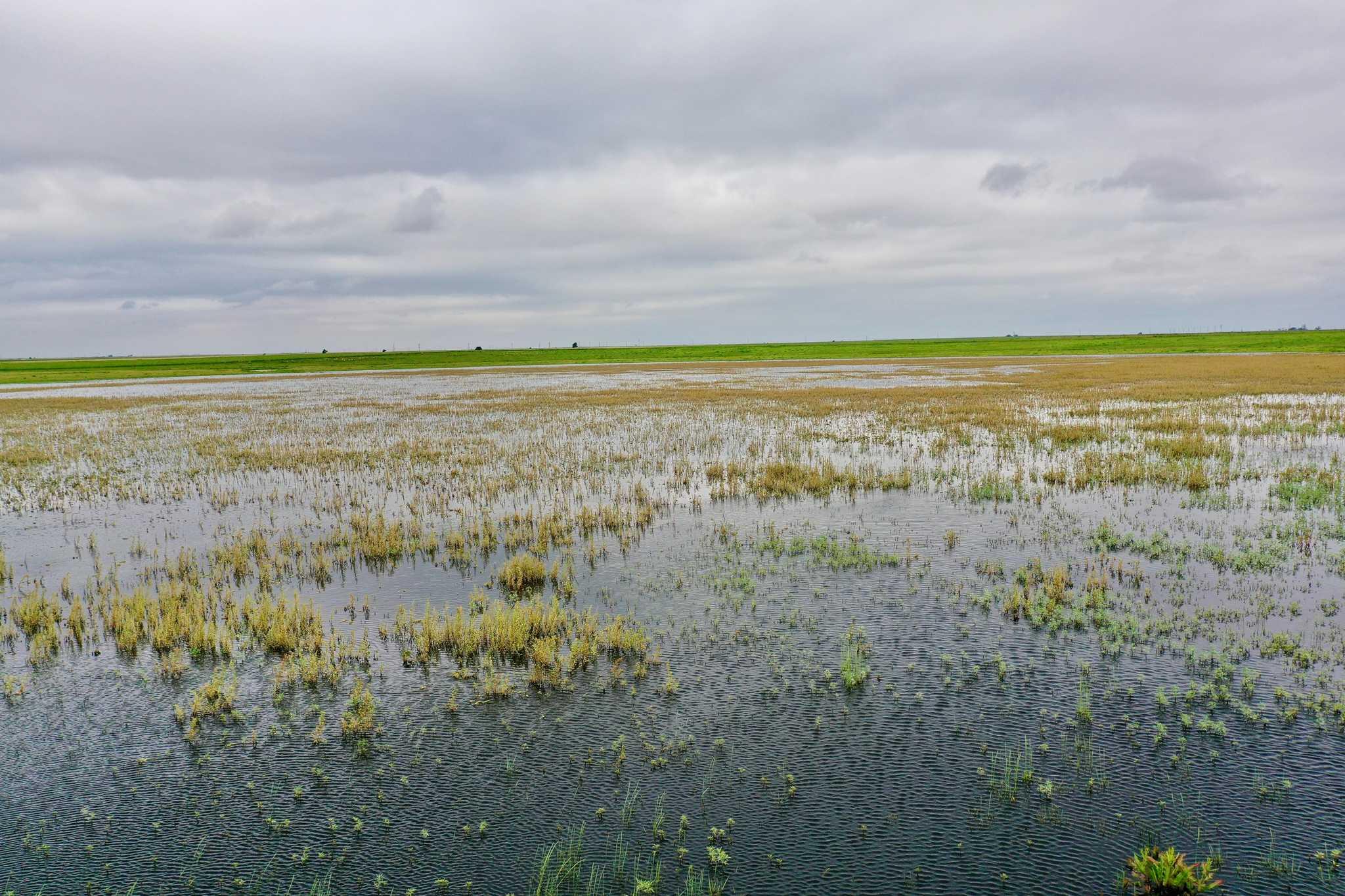 2015 County Road 9 Tulia, TX 79088 - Photo 5 of 33 a view of an ocean and beach