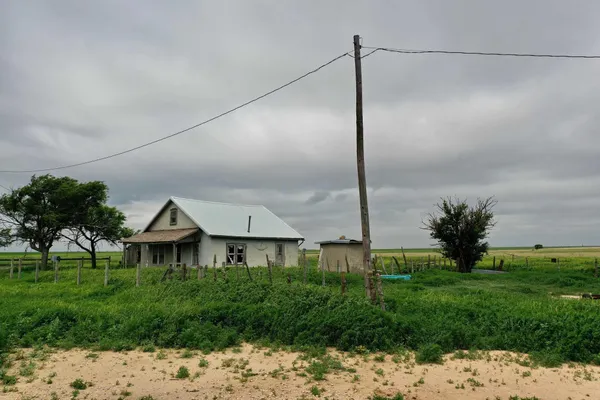 a view of a house with a big yard plants and large tree