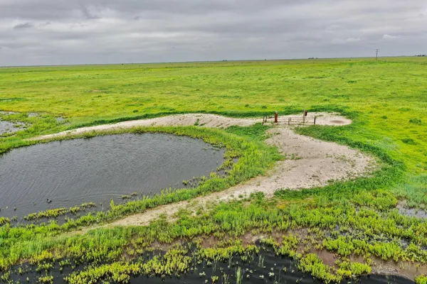a view of beach and ocean
