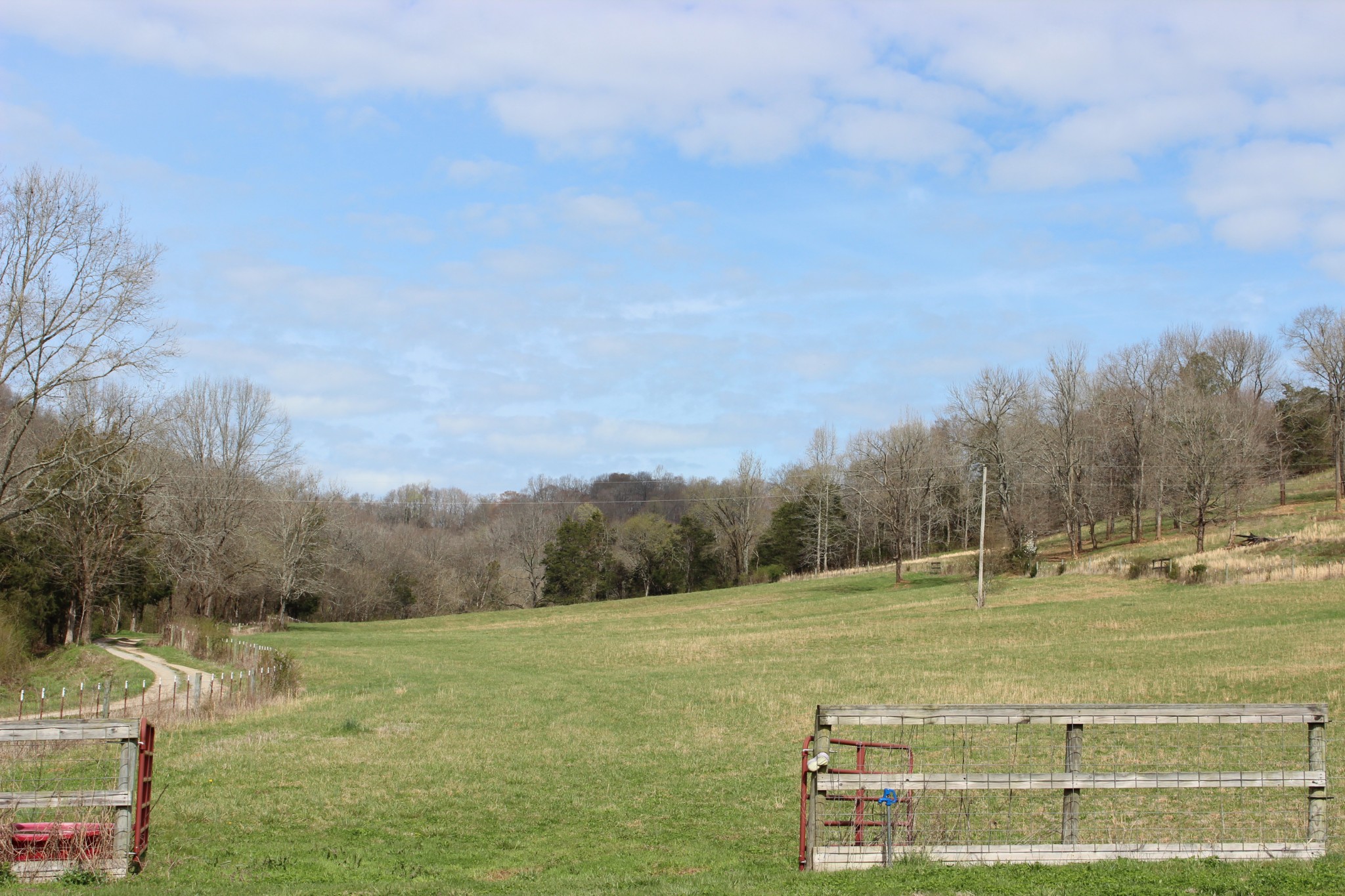 a view of a field with an trees in the background