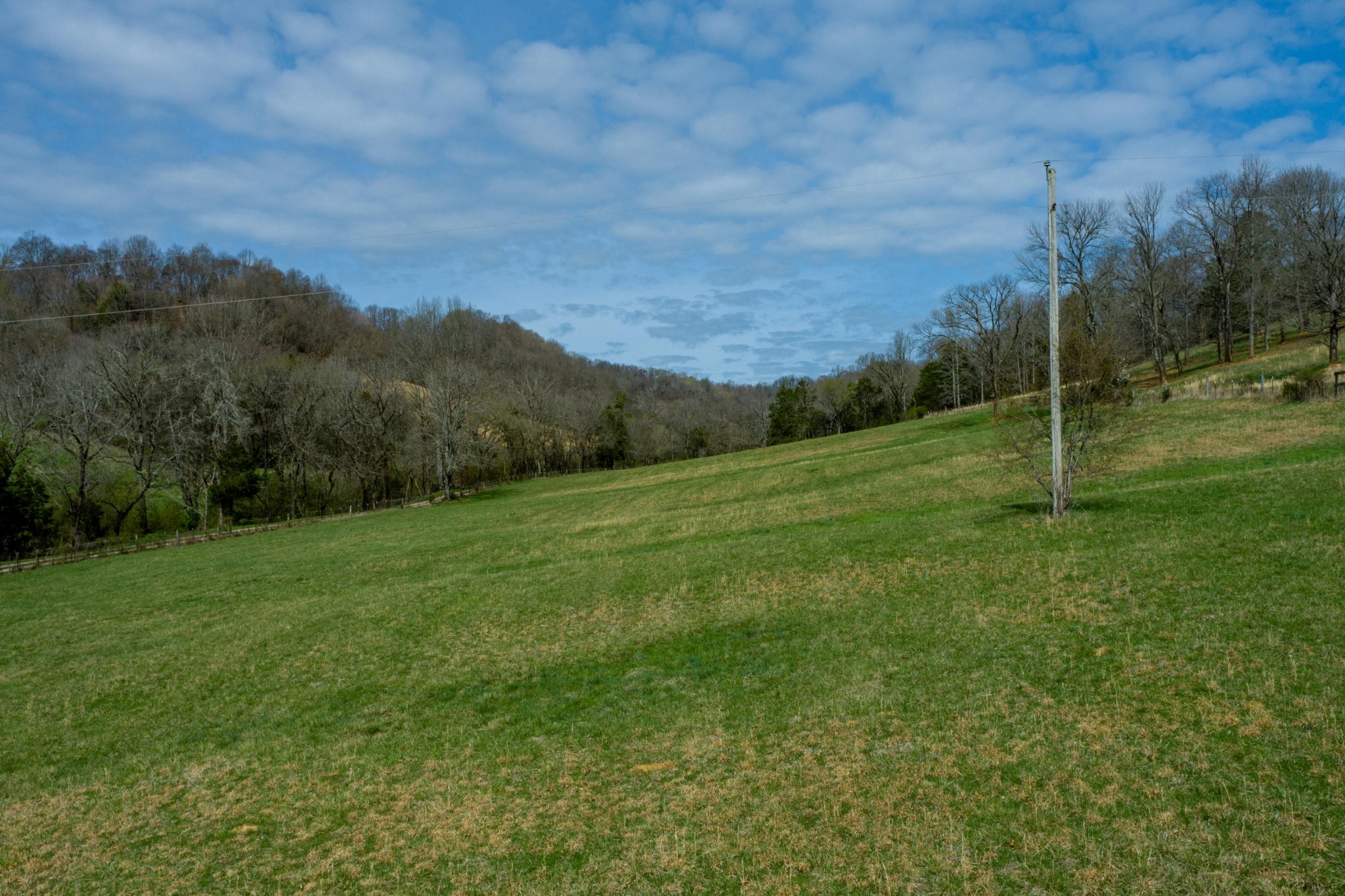 0 Endsley Road Frankewing, TN 38459 - Photo 20 of 31 a view of a grassy field with mountains in the background