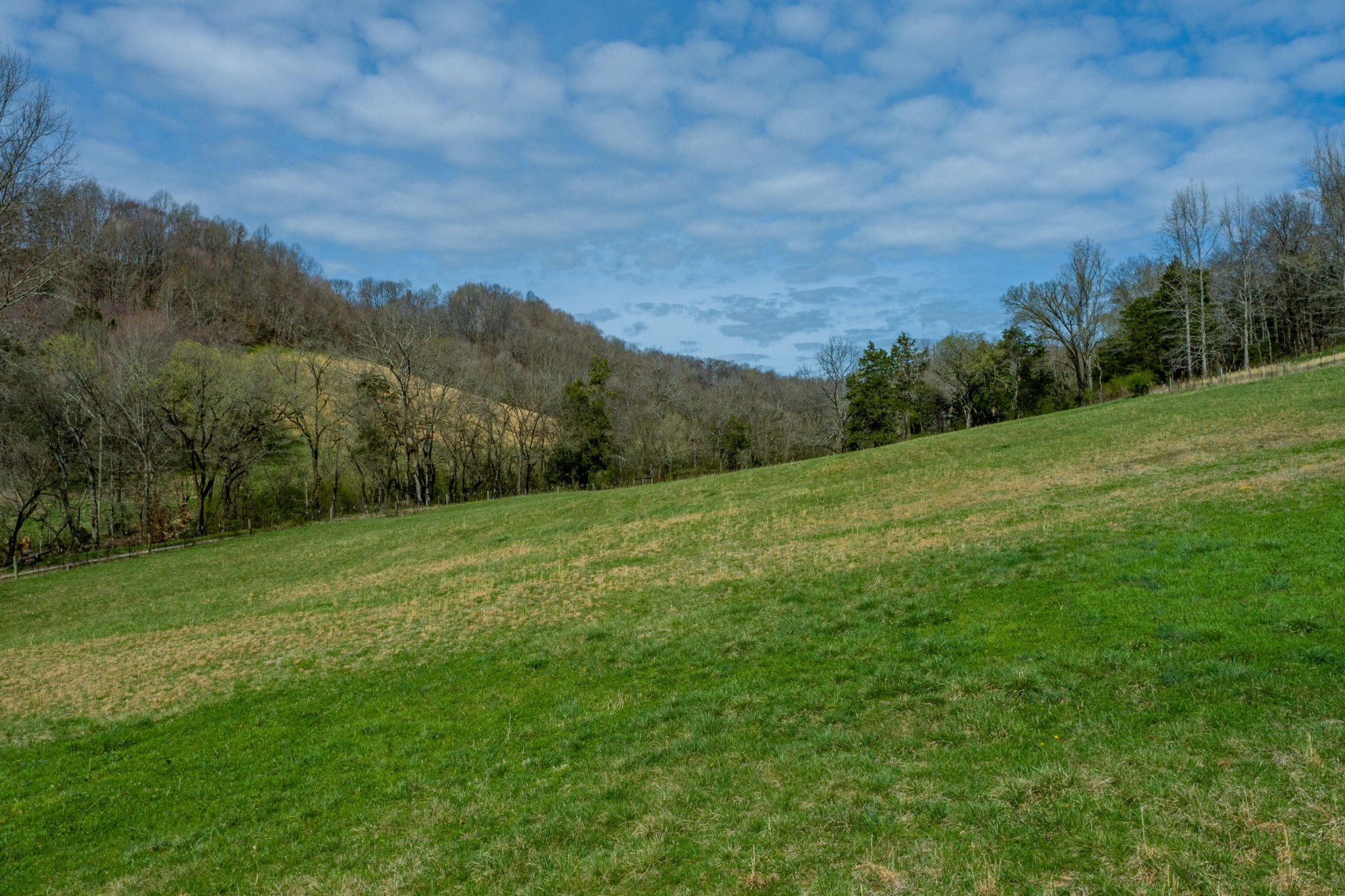 0 Endsley Road Frankewing, TN 38459 - Photo 21 of 31 a view of a grassy field with trees in the background