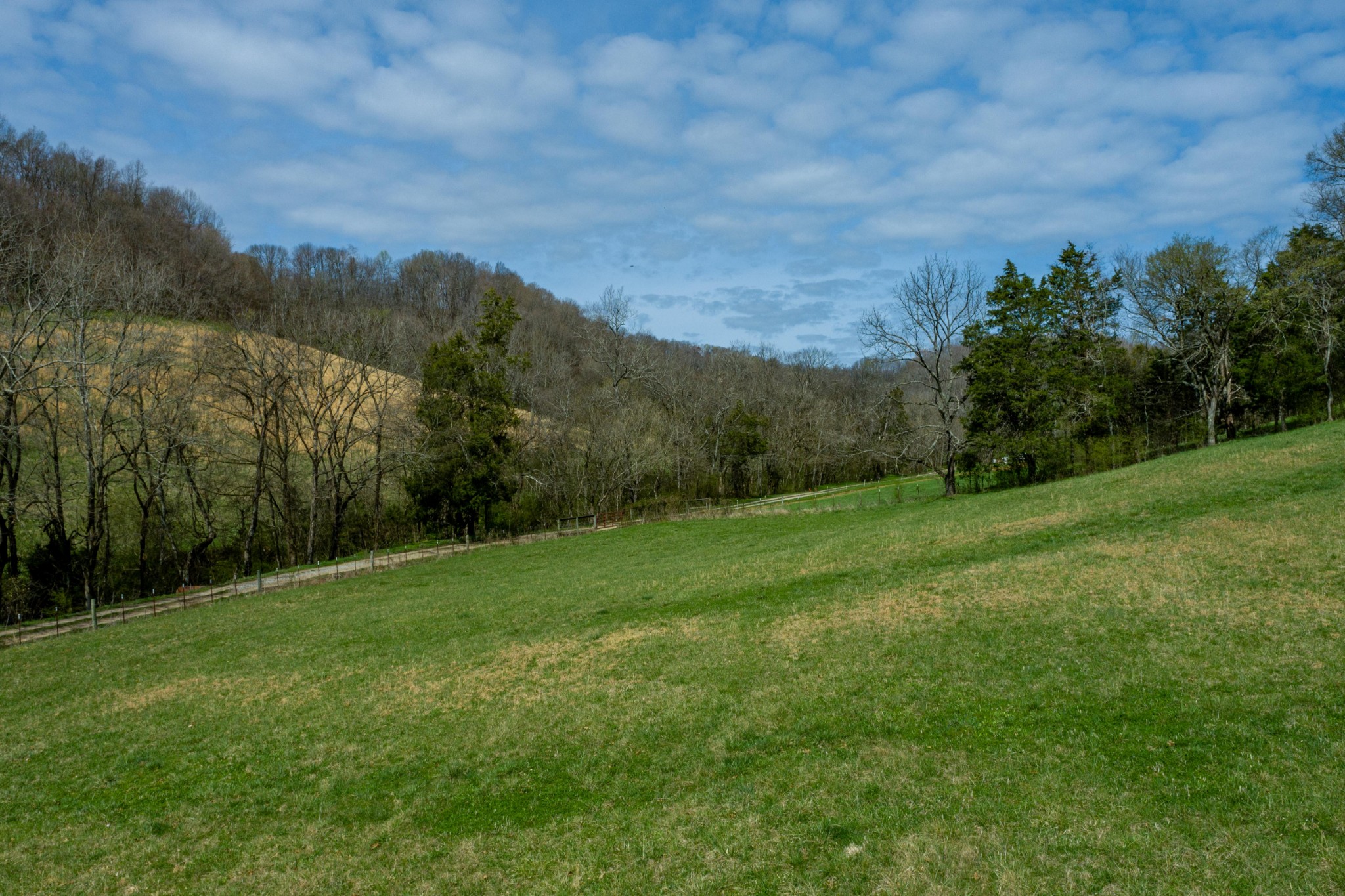0 Endsley Road Frankewing, TN 38459 - Photo 22 of 31 a view of a grassy field with trees in the background