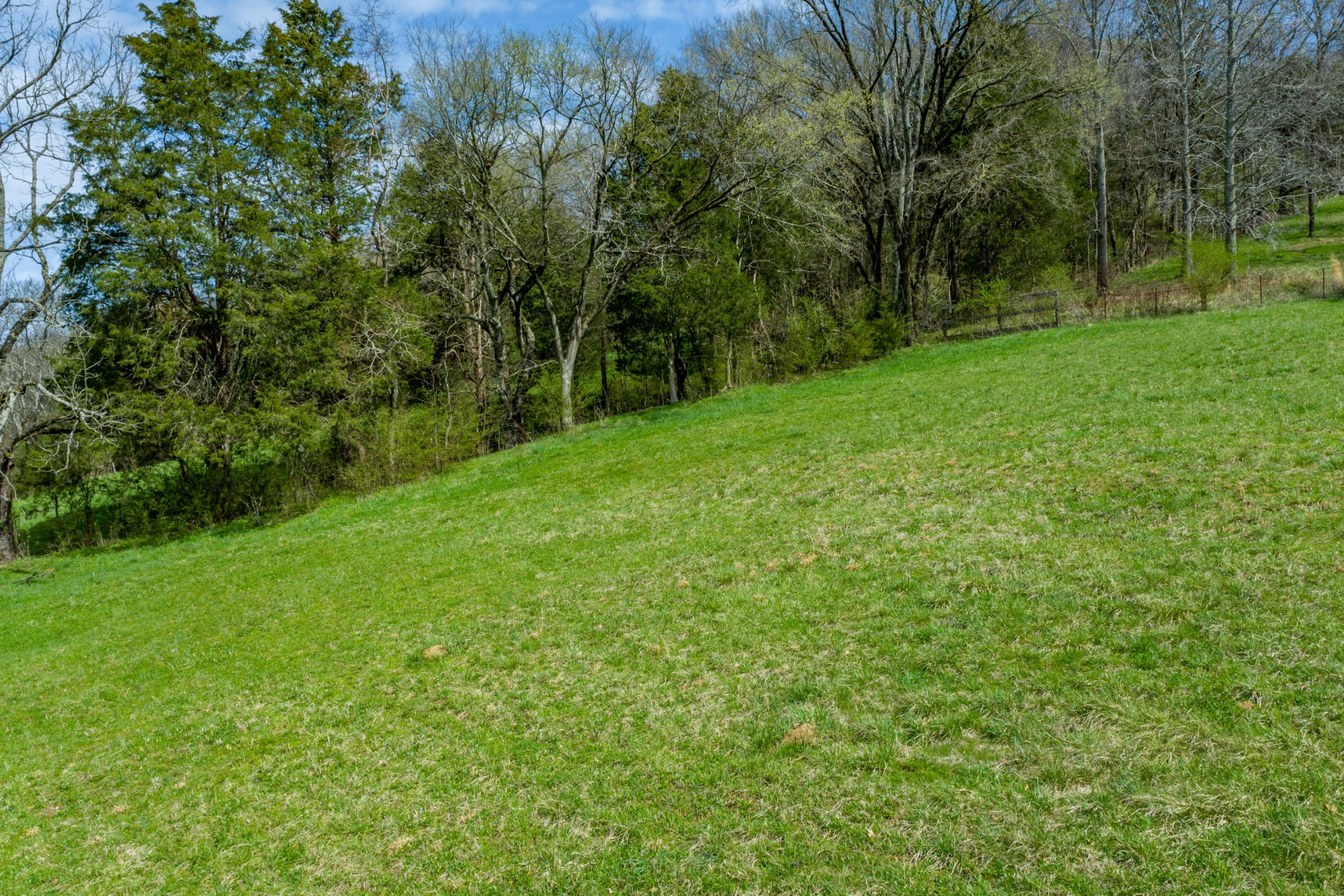0 Endsley Road Frankewing, TN 38459 - Photo 23 of 31 a view of a lush green space