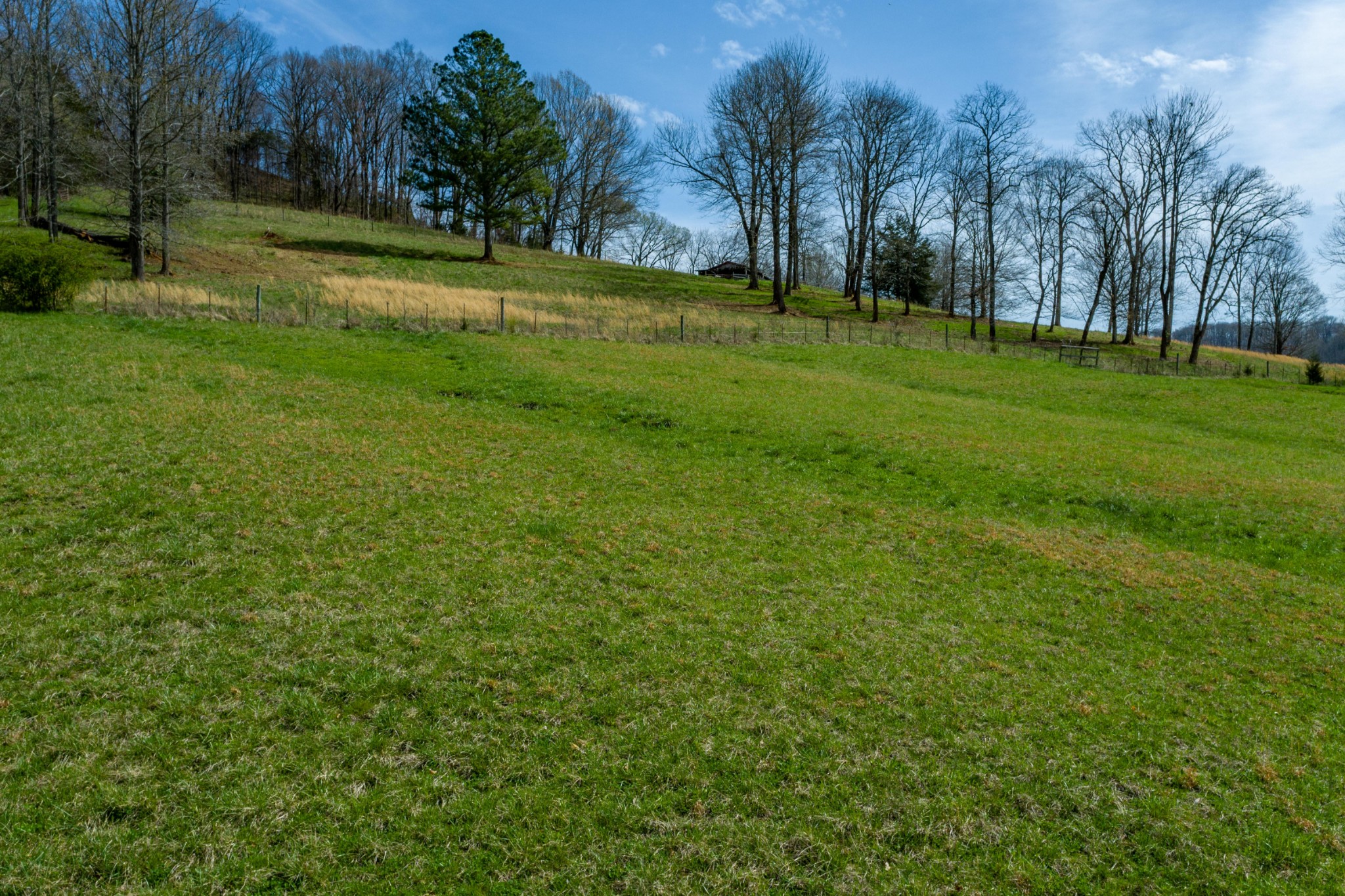 0 Endsley Road Frankewing, TN 38459 - Photo 24 of 31 a view of a park with large trees