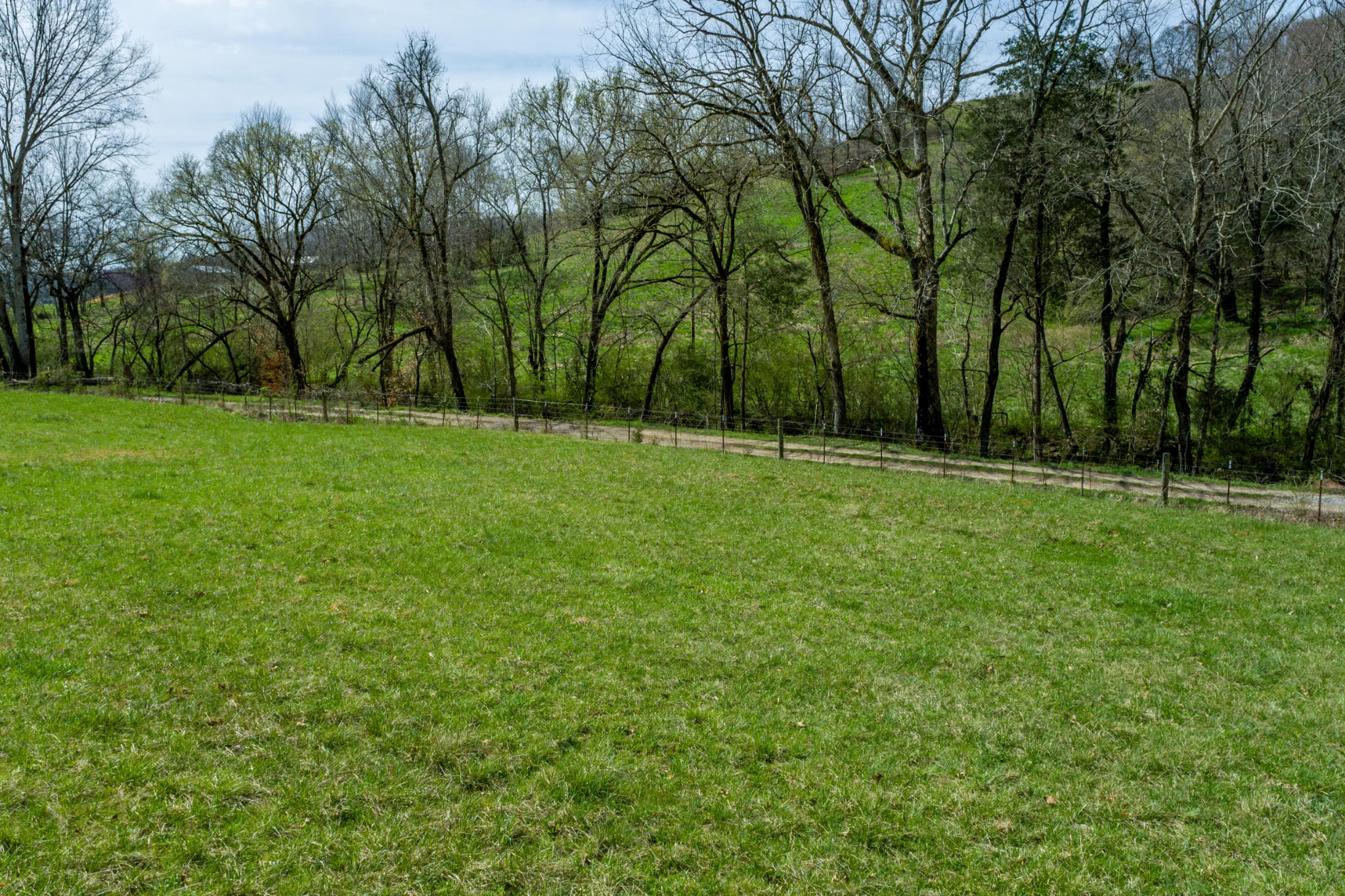 0 Endsley Road Frankewing, TN 38459 - Photo 25 of 31 a backyard of a house with lots of green space
