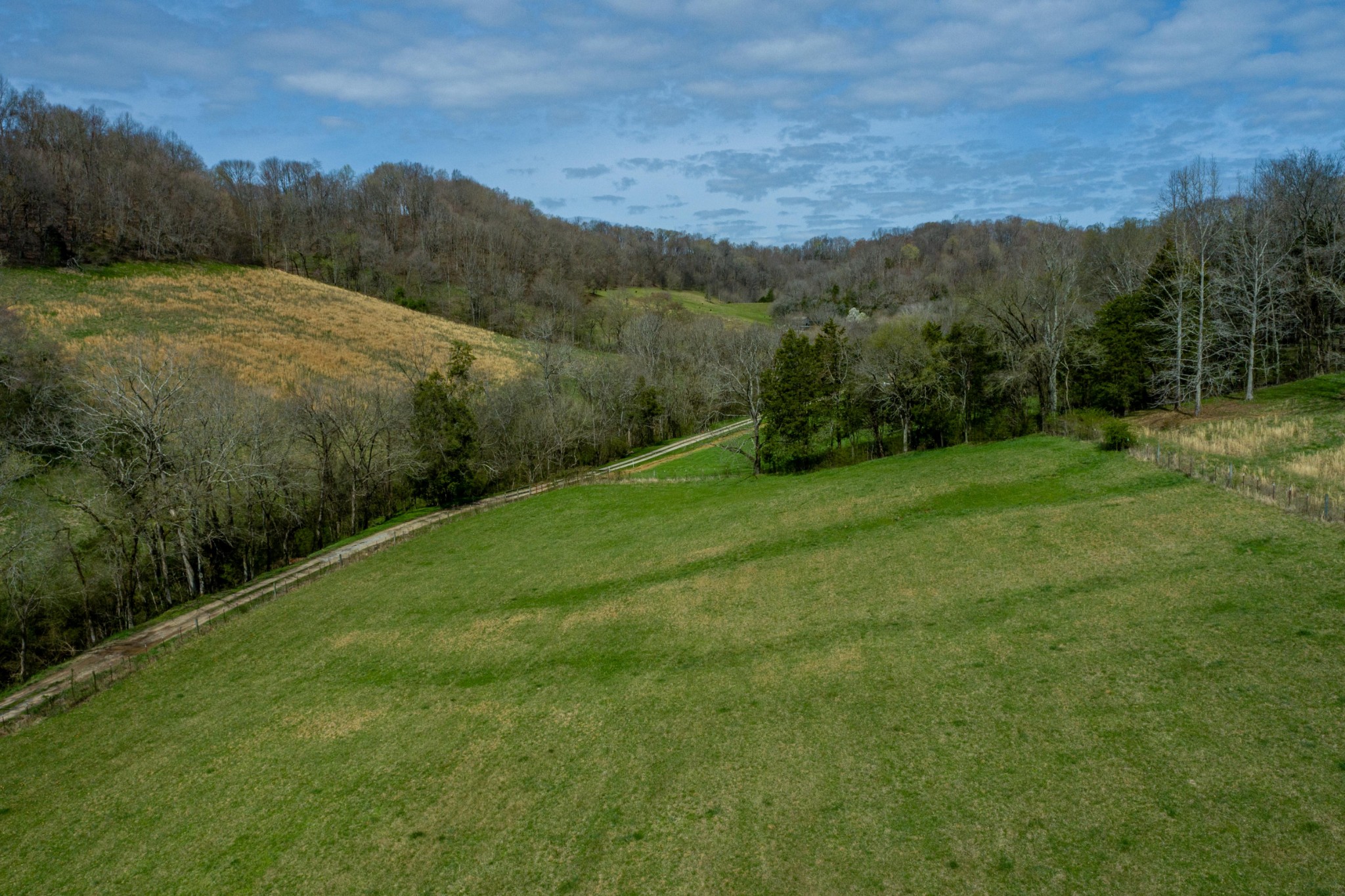 0 Endsley Road Frankewing, TN 38459 - Photo 26 of 31 a view of a lush green hillside and trees