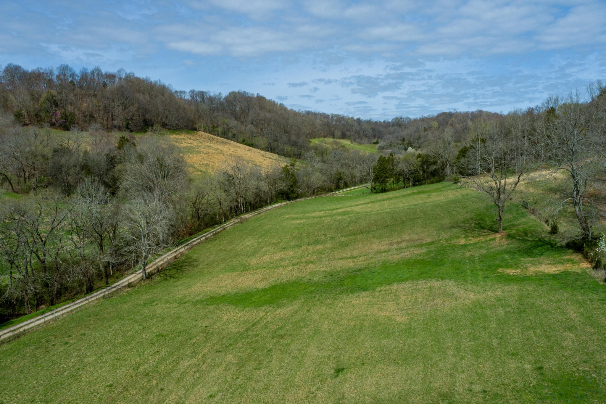 0 Endsley Road Frankewing, TN 38459 - Photo 27 of 31 a view of grassy field with mountain