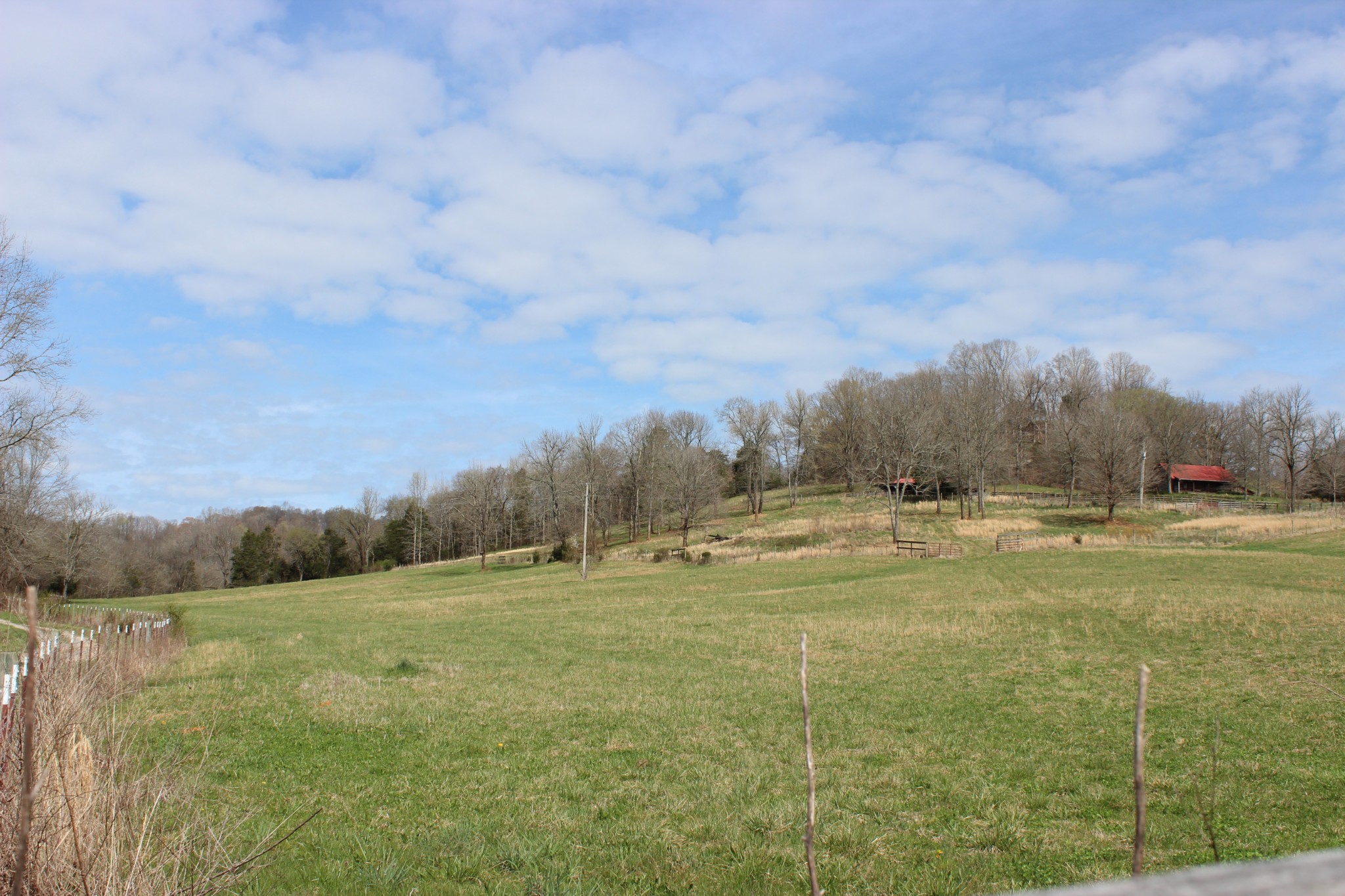 0 Endsley Road Frankewing, TN 38459 - Photo 29 of 31 a view of large trees with a big yard