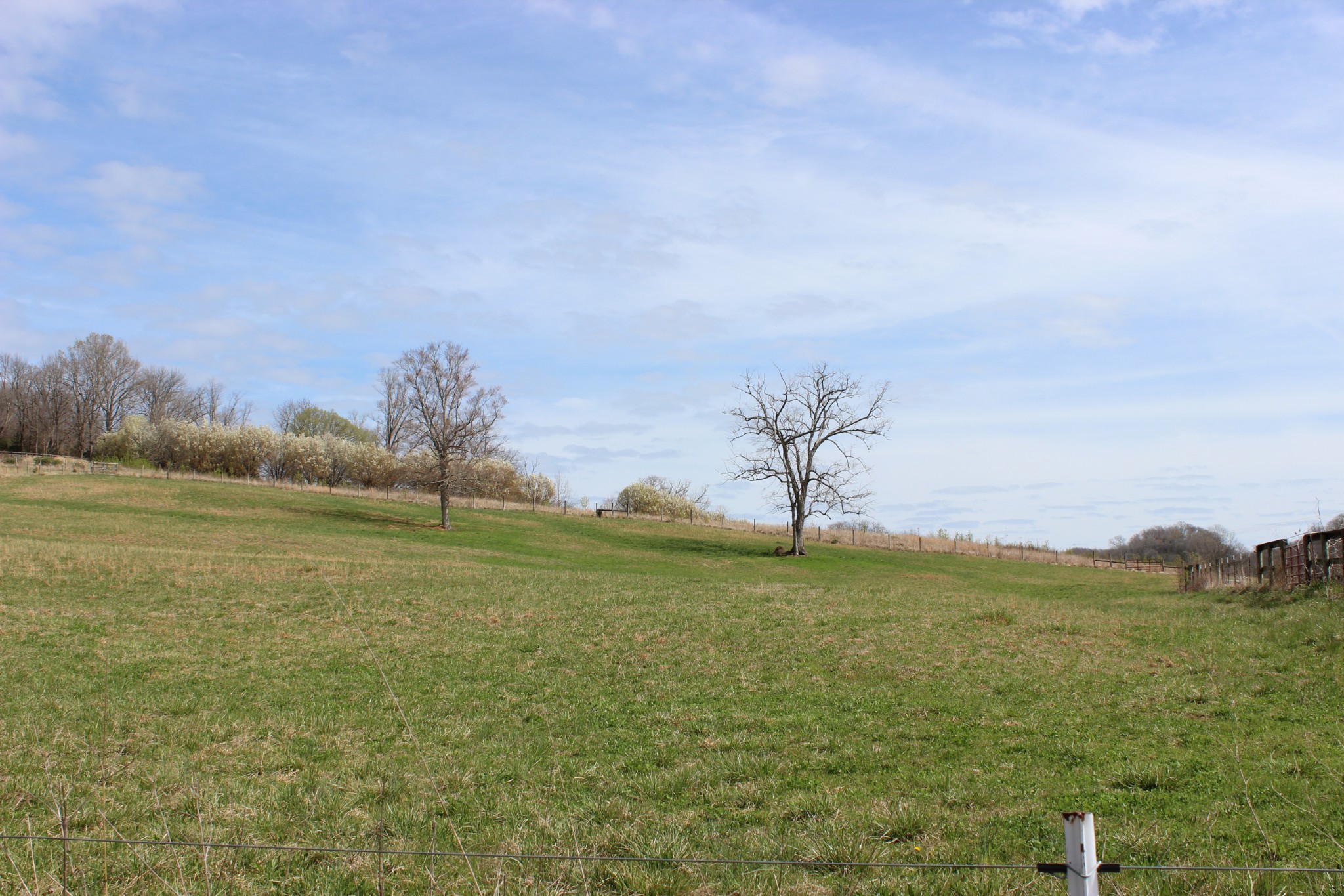 0 Endsley Road Frankewing, TN 38459 - Photo 30 of 31 a view of a field with an ocean