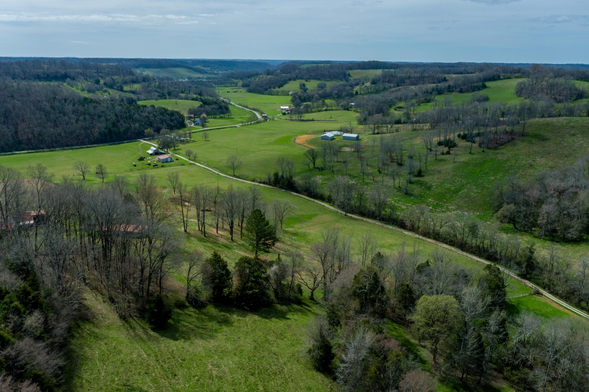 0 Endsley Road Frankewing, TN 38459 - Photo 9 of 31 a view of a lush green forest with lots of buildings