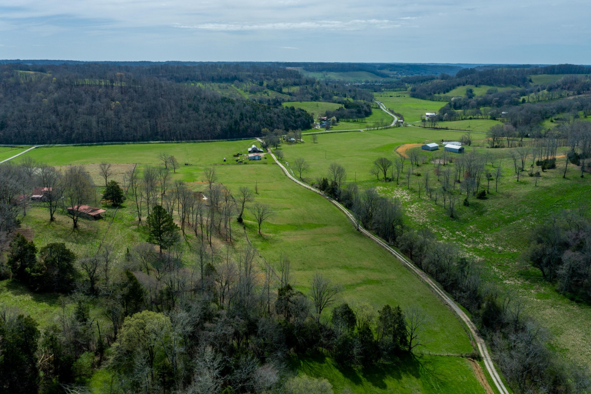 0 Endsley Road Frankewing, TN 38459 - Photo 10 of 31 a view of a lush green space