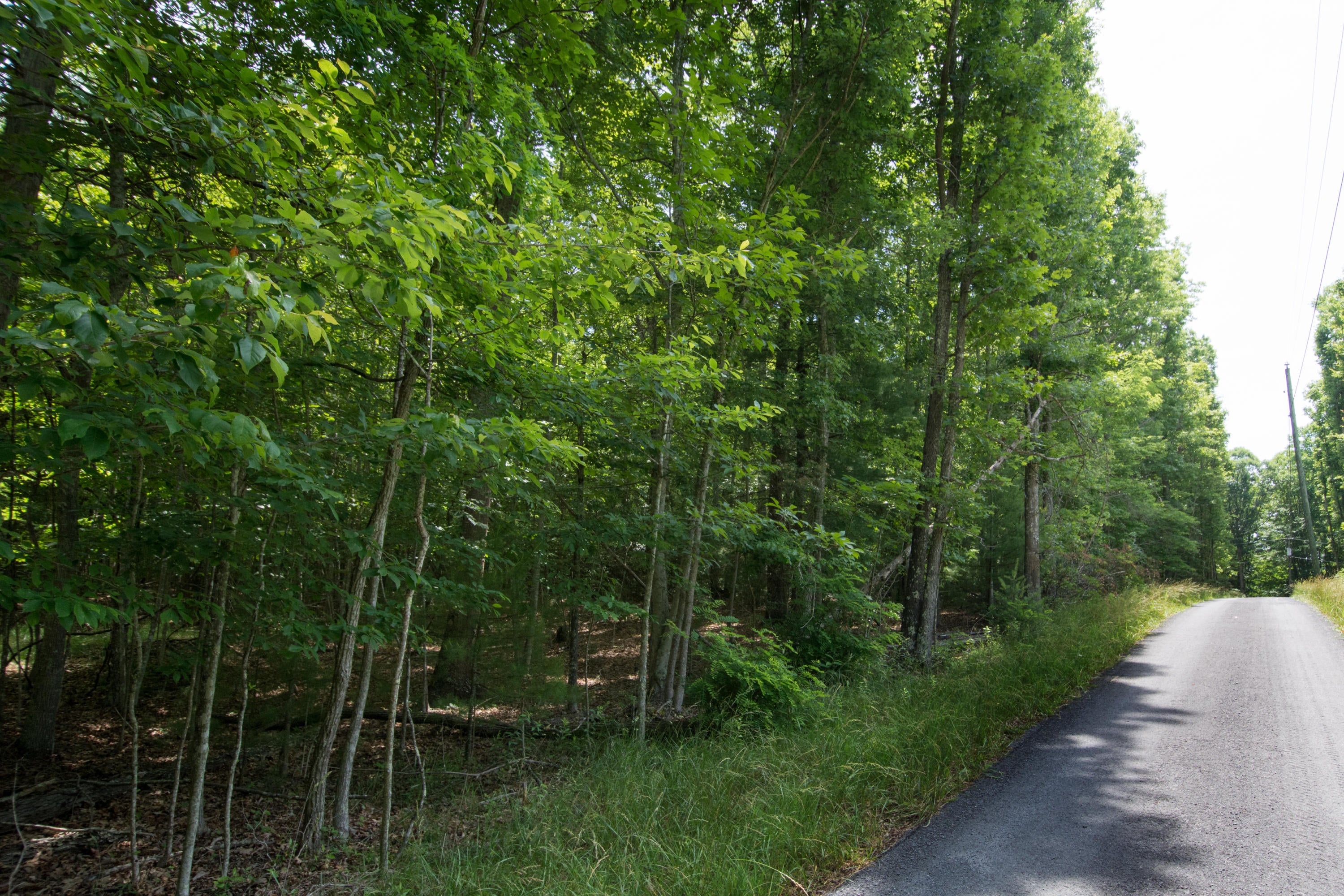 599 Woodbrier Estates Road Alderson, WV 24910 - Photo 43 of 48 Gallery Image 43