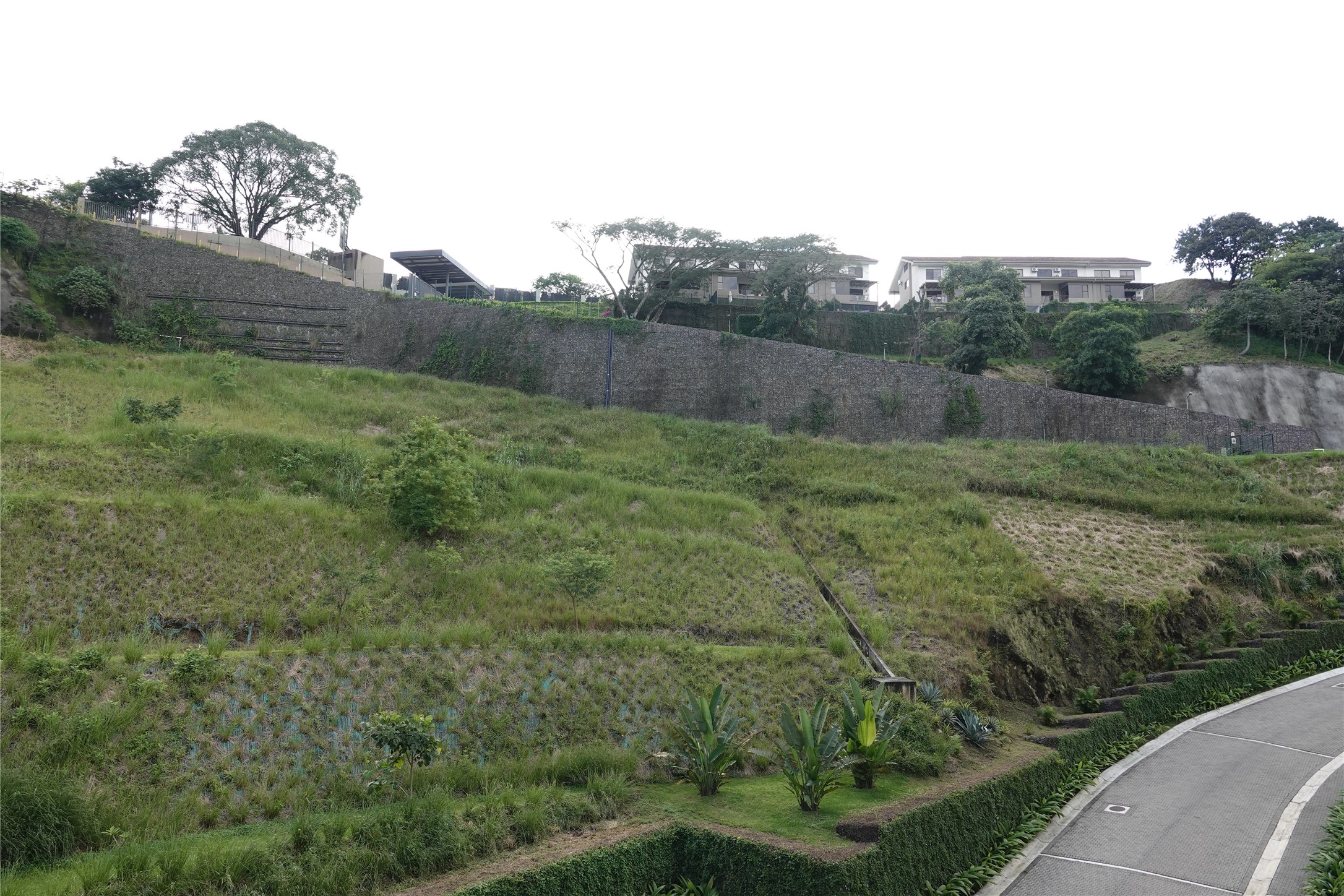 44 Condominio Bosques Del Cafe Mountains, Unit 44 Almont, CO 81210 - Photo 7 of 19 a view of a back yard