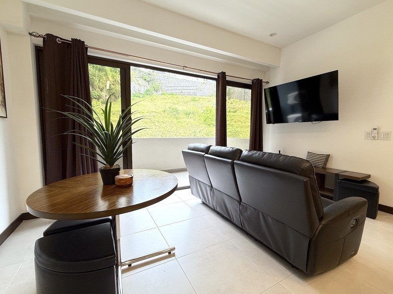 44 Condominio Bosques Del Cafe Mountains, Unit 44 Almont, CO 81210 - Photo 9 of 19 a living room with furniture and a flat screen tv