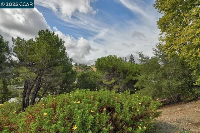 a living room with a couch and a coffee table