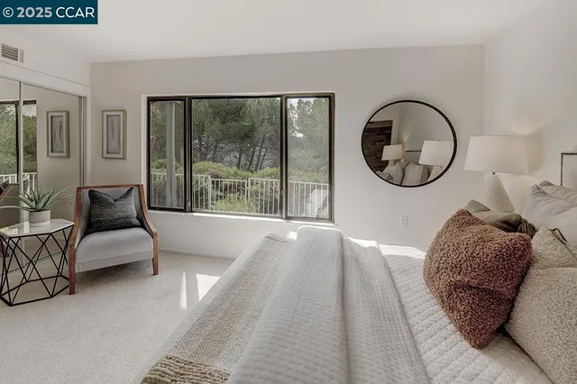 a view of a yard with plants and large trees