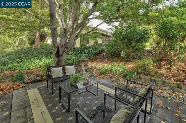 a view of a house with a tree