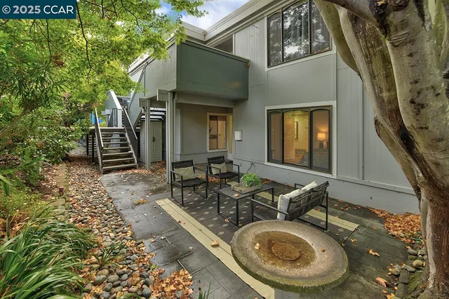 a view of a dry yard with plants and large trees