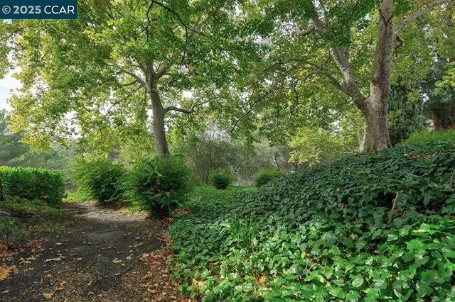 a wooden bench sitting in a backyard