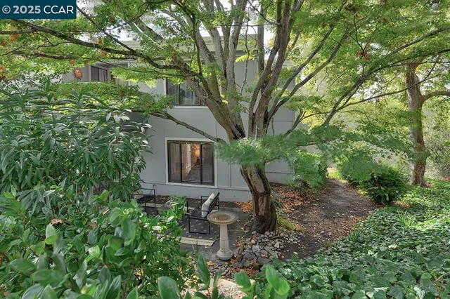 a view of a lush green forest with lots of trees