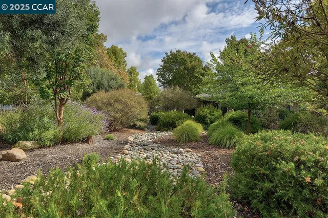 a view of a park with large trees