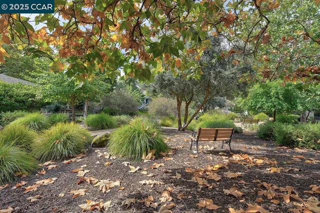 a view of a room with lots of wooden floor