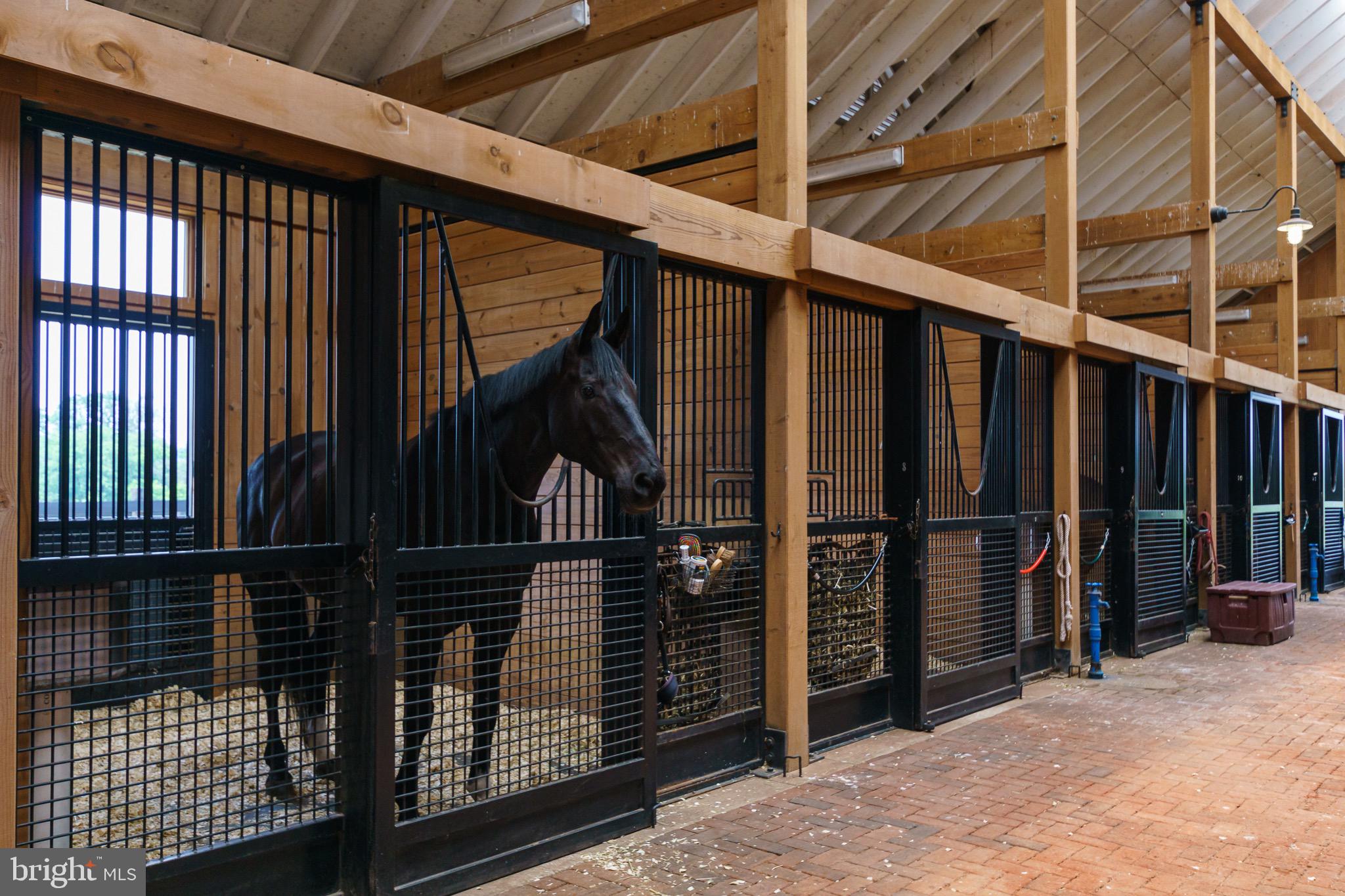 1459 Great Road Princeton, NJ 08540 - Photo 59 of 113 A happy resident