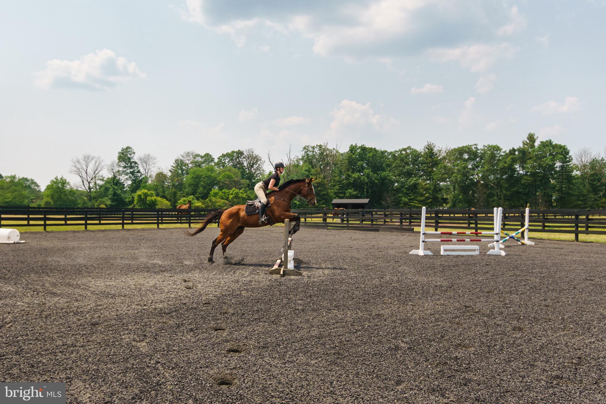 1459 Great Road Princeton, NJ 08540 - Photo 83 of 113 Outdoor arena