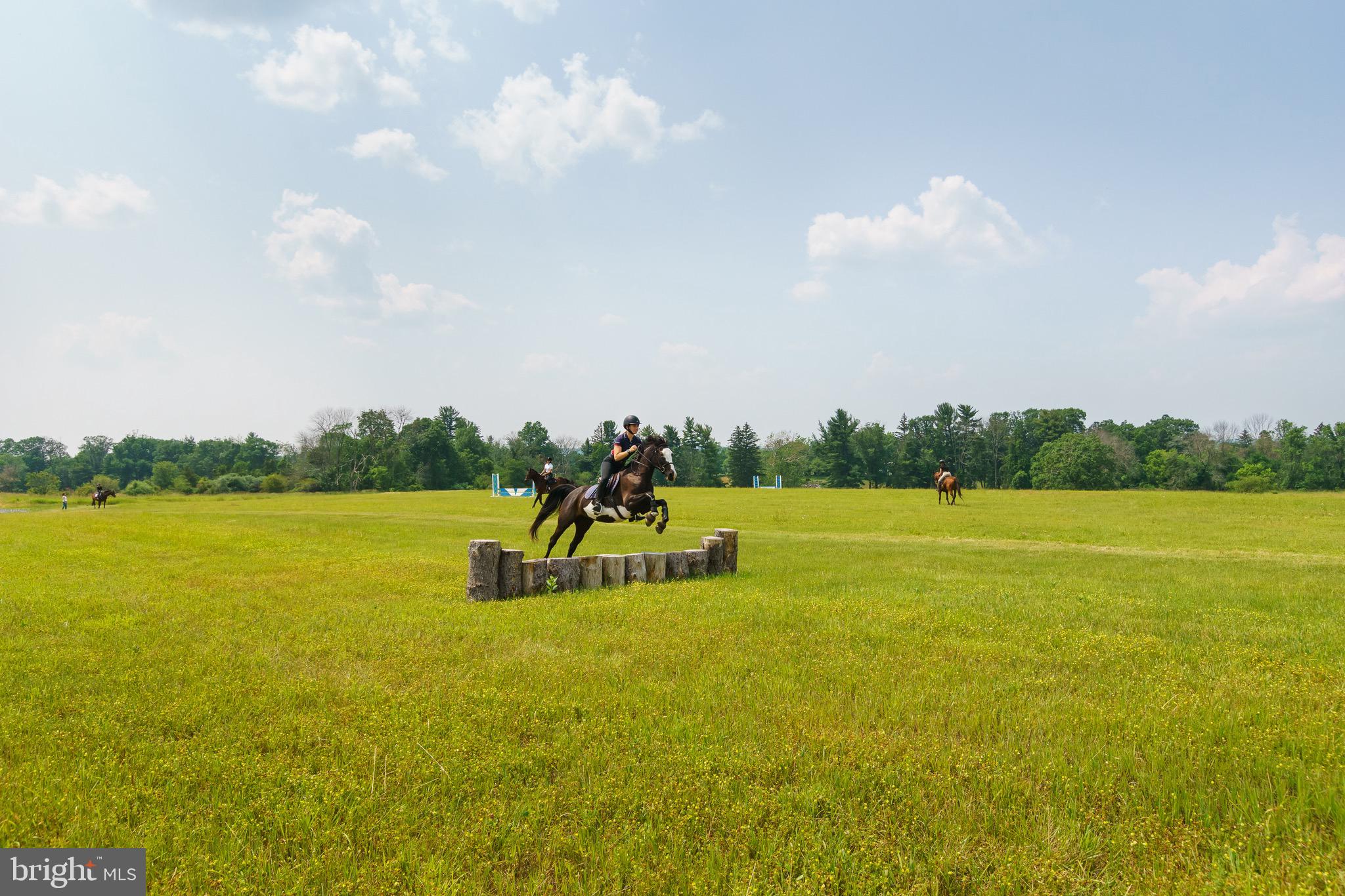 1459 Great Road Princeton, NJ 08540 - Photo 88 of 113 Riders in the field