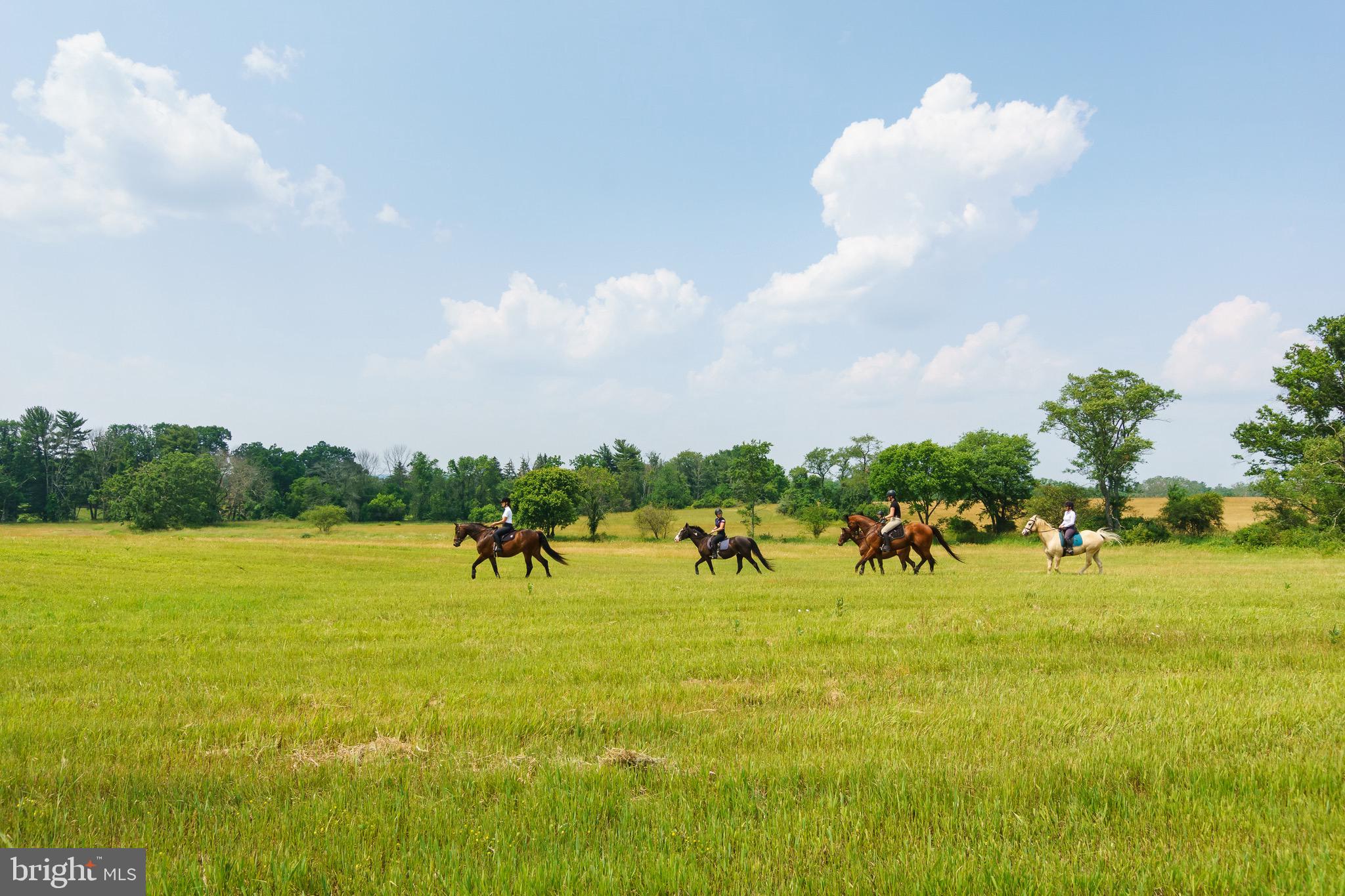 1459 Great Road Princeton, NJ 08540 - Photo 90 of 113