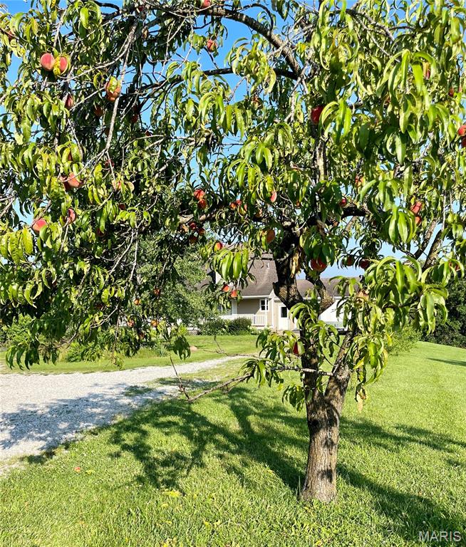 48451 Club Road Milan, MO 63556 - Photo 25 of 27