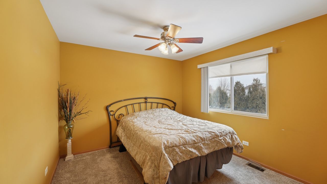 6120 Smokey Ridge Drive Plainfield, IL 60586 - Photo 12 of 18