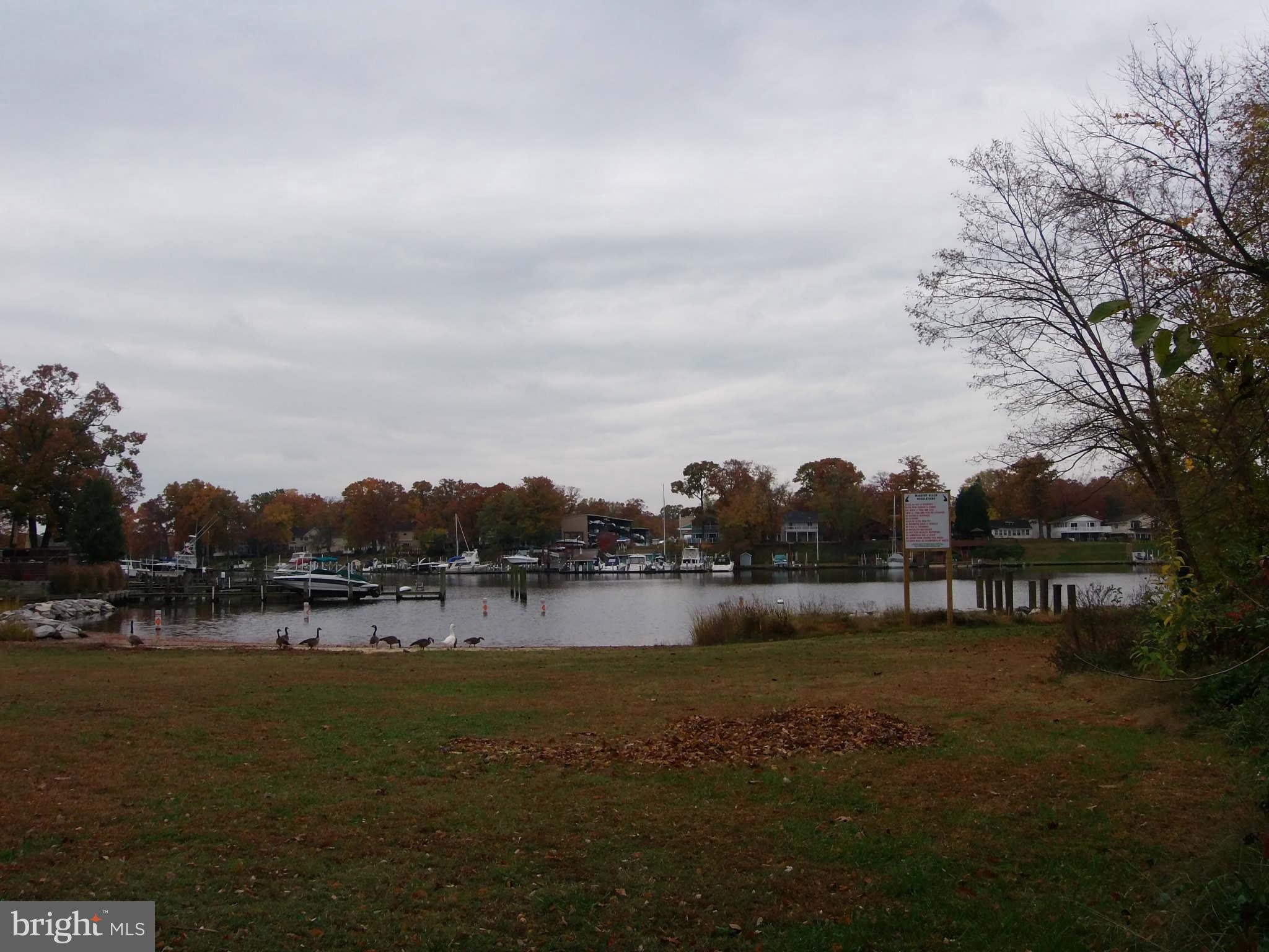 135 Magothy Beach Road Pasadena, MD 21122 - Photo 29 of 30 Community