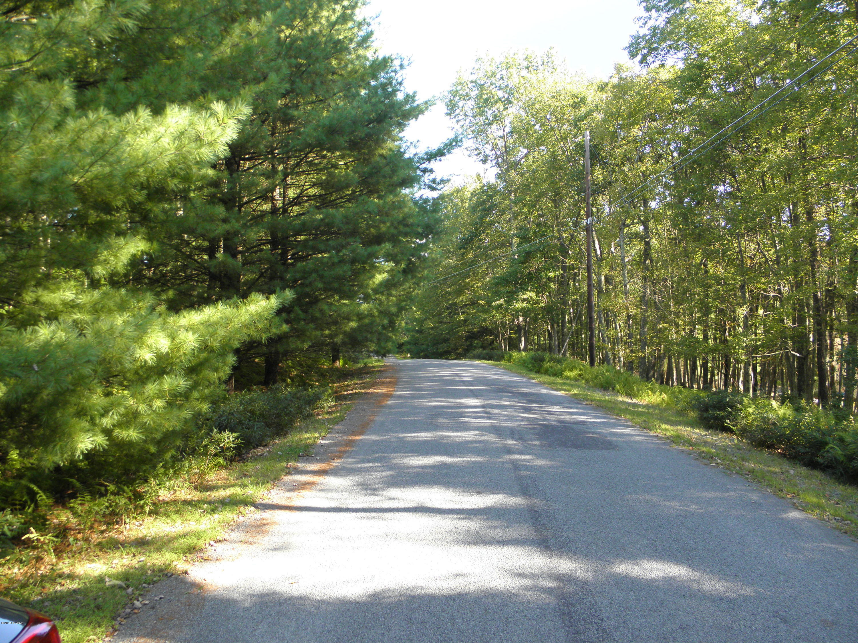 Briarcrest Road Harford, PA 18428 - Photo 2 of 4