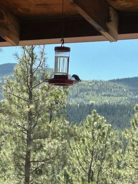 34 Normandy Road Evergreen, CO 80439 - Photo 42 of 45