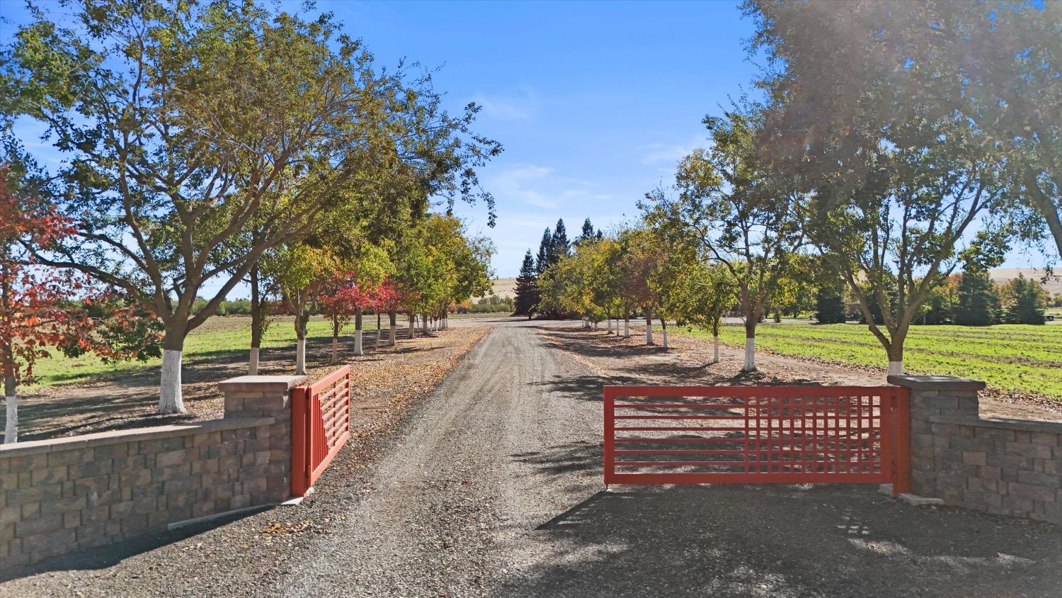 8454 Pass Road Sutter, CA 95982 - Photo 4 of 93