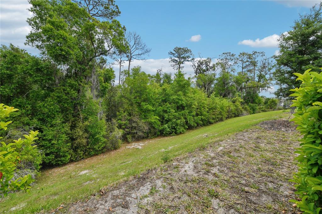 2352 Litchfield Loop DeLand, FL 32720 - Photo 23 of 24 a view of a garden with a tree