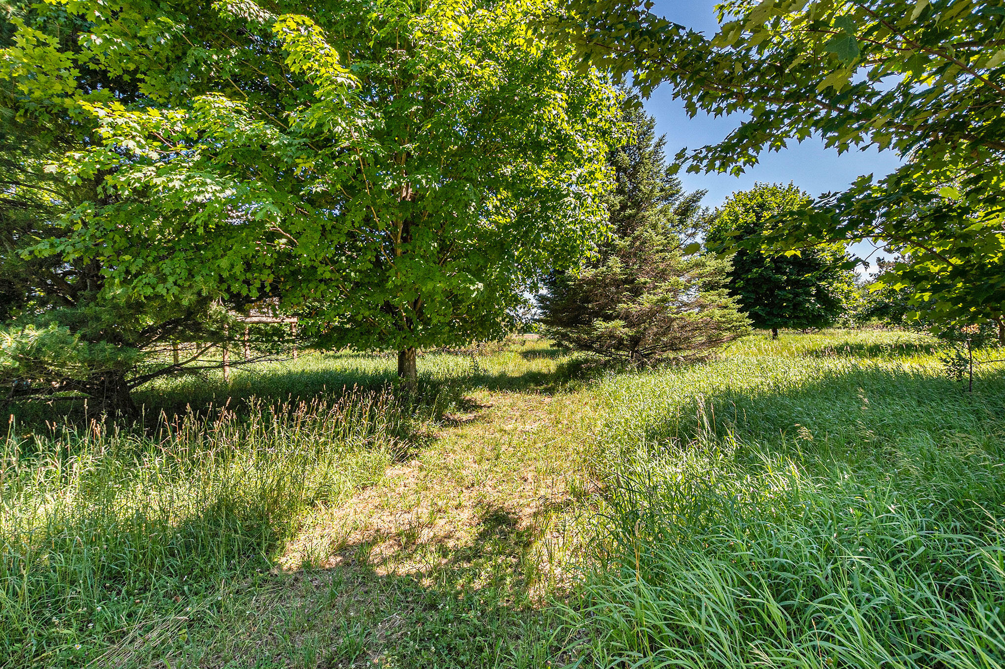 5451 East Millerton Road Fountain, MI 49410 - Photo 22 of 25 more of backyard