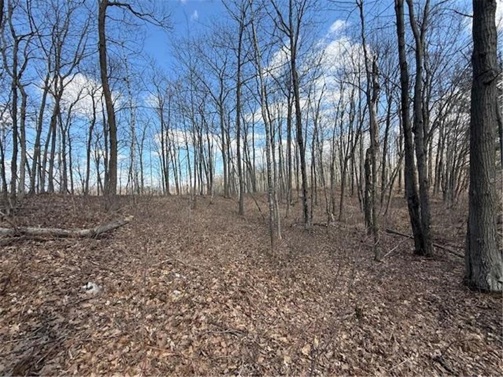 63 Barronett Wi 54871 Shell Lake, WI 54871 - Photo 2 of 24