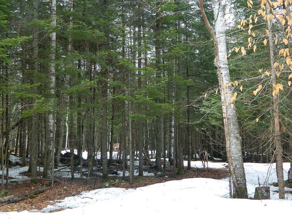 55 B Carry Road Oquossoc, ME 04964 - Photo 7 of 9 Photo