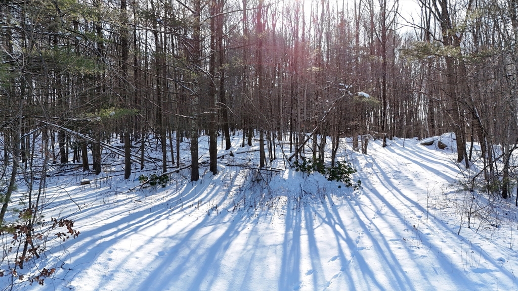 6 Gillespie Road Charlton, MA 01507 - Photo 12 of 21